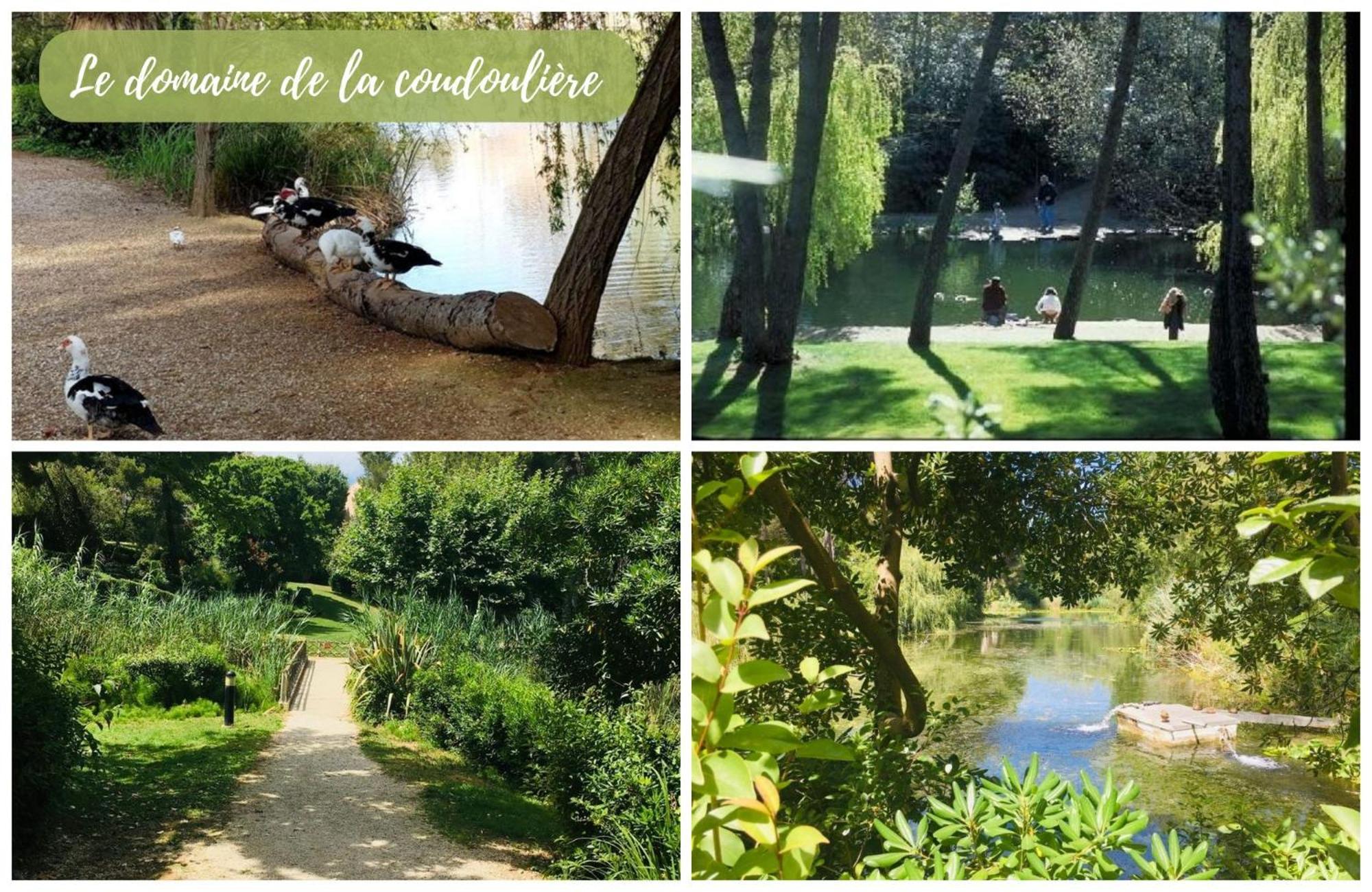 Blue Lagoon Six-Fours-les-Plages Exterior foto